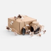 Набор «Важные шишки» арт. 22132.00