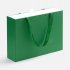 Коробка Regalis, XL, зеленая