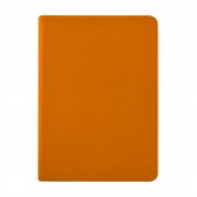 Ежедневник недатированный А6 «Megapolis Color»