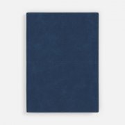 Ежедневник Stitch, недатированный, синий