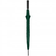 Зонт-трость Dublin, зеленый