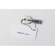 Флешка «Ключ», 16 Гб арт. 5402.06