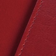 Обложка для паспорта Nebraska, красная