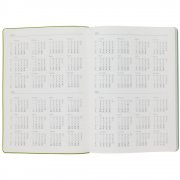 Ежедневник Flexpen, недатированный, серебристо-зеленый