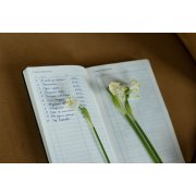 Ежедневник Nubuk, недатировнный, черный арт. 15014.30 Ежедневник Nubuk, недатировнный, черный арт. 15014.30