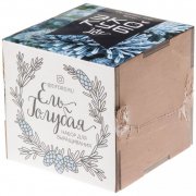 Набор для выращивания «Экокуб Lite», ель голубая арт. 10607.02 Набор для выращивания «Экокуб Lite», ель голубая арт. 10607.02