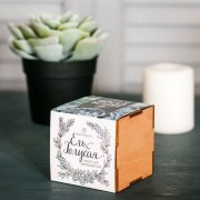 Набор для выращивания «Экокуб Lite», ель голубая арт. 10607.02 Набор для выращивания «Экокуб Lite», ель голубая арт. 10607.02