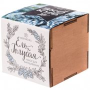 Набор для выращивания «Экокуб Lite», ель голубая арт. 10607.02 Набор для выращивания «Экокуб Lite», ель голубая арт. 10607.02