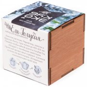 Набор для выращивания «Экокуб Lite», ель голубая арт. 10607.02 Набор для выращивания «Экокуб Lite», ель голубая арт. 10607.02