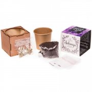 Набор для выращивания «Экокуб Lite», лаванда арт. 10607.04 Набор для выращивания «Экокуб Lite», лаванда арт. 10607.04