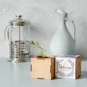 Набор для выращивания «Экокуб Lite», лаванда арт. 10607.04 Набор для выращивания «Экокуб Lite», лаванда арт. 10607.04