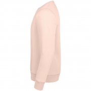 Толстовка унисекс Sully, розовая арт. 02990143 Толстовка унисекс Sully, розовая арт. 02990143