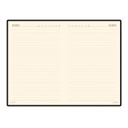 Ежедневник недатированный А5 «Megapolis»