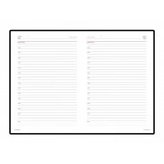 Ежедневник недатированный А5 «Caiman»