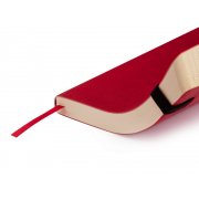 Ежедневник недатированный А5 «Vincent»