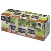 Набор горшочков для растений «Chalk pots»