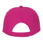 Бейсболка «Feniks»