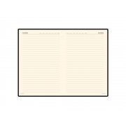 Ежедневник недатированный А6 «Megapolis»