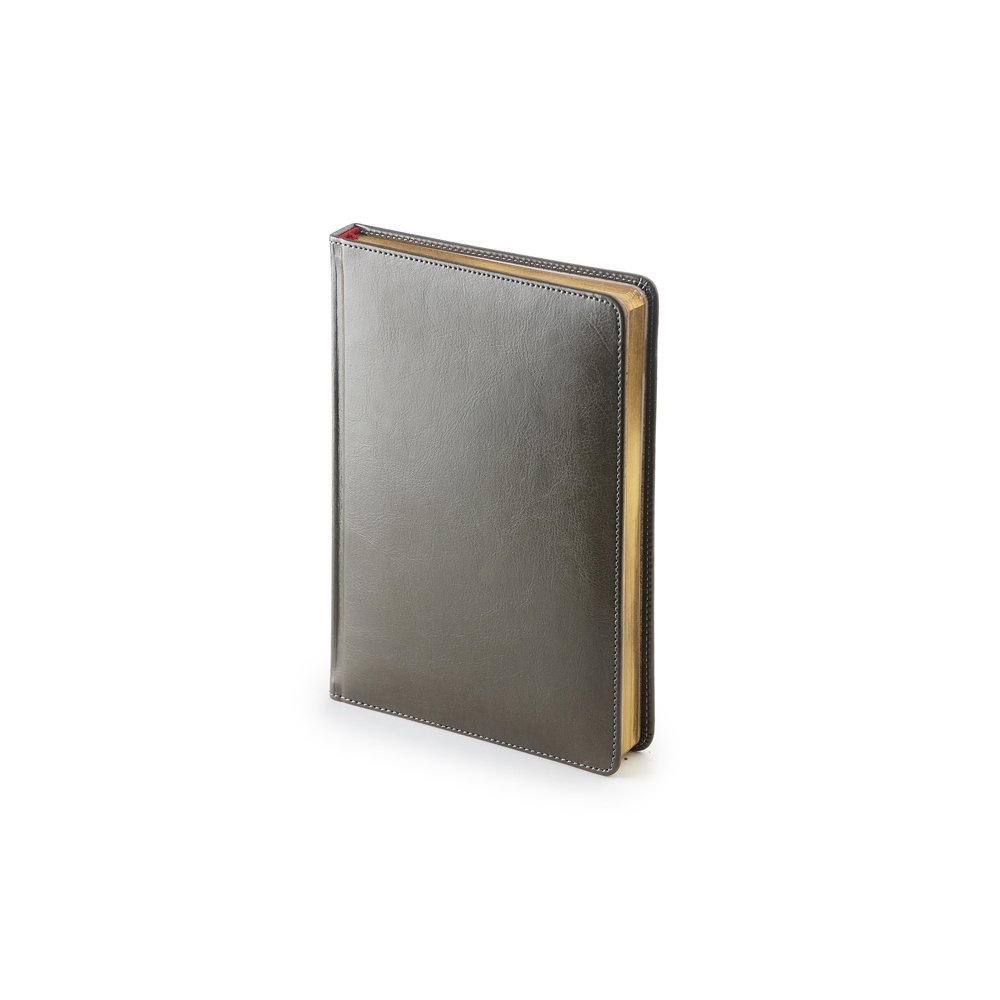 Ежедневник датированный А5 «Sidney Nebraska» на 2027 год арт. 3-125.09 Ежедневник датированный А5 «Sidney Nebraska» на 2027 год арт. 3-125.09