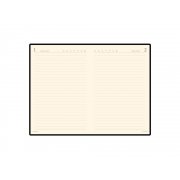 Ежедневник полудатированный портфолио А5 «Profy»