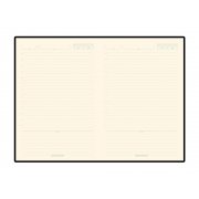 Ежедневник недатированный А5 «Bridge»