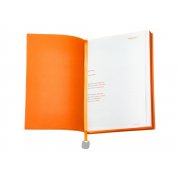 Ежедневник недатированный А5 «Mercury»