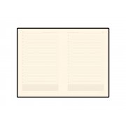 Ежедневник недатированный А5 «Zenith»