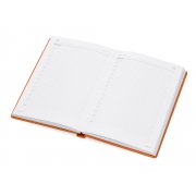 Ежедневник недатированный А5 «Velvet» арт. 3-115.27