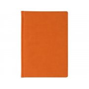 Ежедневник недатированный А5 «Velvet» арт. 3-115.27