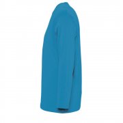 Футболка мужская с длинным рукавом MONARCH, голубая арт. 11420321