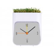 Часы настольные «Grass»