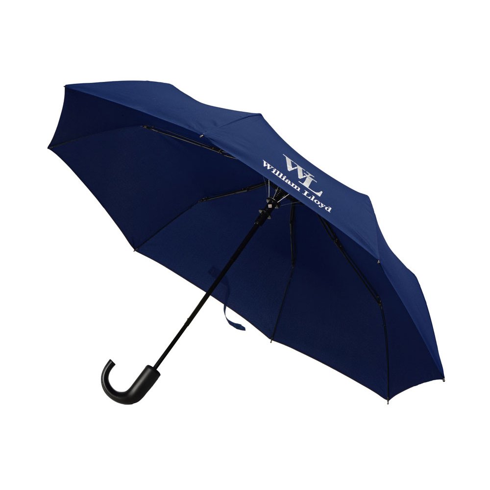 Зонт складной арт. 868402 Зонт складной арт. 868402