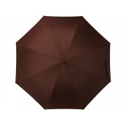 Зонт-трость «Алтуна»