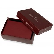 Ручка перьевая