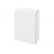 Часы «Традиционные и нетрадиционные виды электроэнергетики»