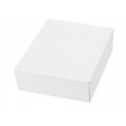 Набор аксессуаров для чистки обуви «Кэрролтон»