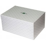 Часы «Принц Аквитании»