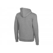 Толстовка с капюшоном «Amsterdam» мужская арт. 3153096