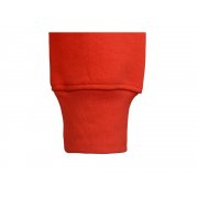 Толстовка с капюшоном «Amsterdam» мужская