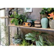 Колонка с двумя динамиками Bamboo X, черный арт. P328.119 Колонка с двумя динамиками Bamboo X, черный арт. P328.119