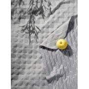 Плед для пикника Soft & Dry, серый арт. 5624.10