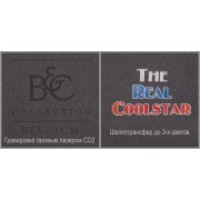 Куртка флисовая мужская Coolstar/men стальной серый