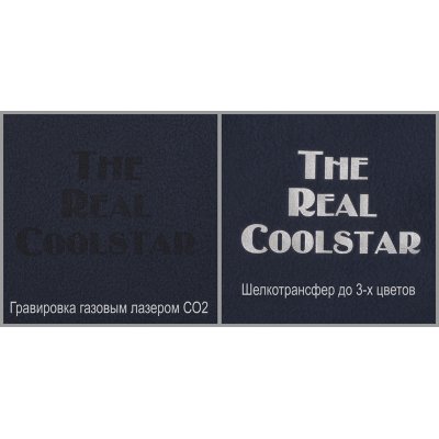 Куртка флисовая мужская Coolstar/men темно-синий
