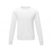 Свитер с круглым вырезом «Zenon» мужской