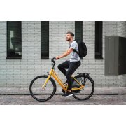 Сумка-рюкзак Flex арт. P705.801