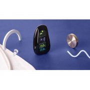 Метеостанция «StoneCast 1 WTS»