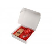 Подарочный набор с чаем, кружкой и френч-прессом «Чаепитие» арт. 700411.01