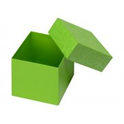 Подарочная коробка «Древо жизни»