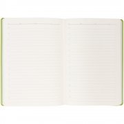 Ежедневник Flexpen Black, недатированный, черный с зеленым