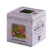 Аромакубики ЛУГОВЫЕ ЦВЕТЫ (8шт) Светло-зелёный